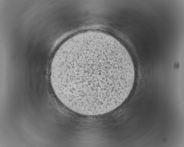 X0000110941316200907311007