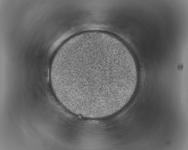 X0000110941317200907311007
