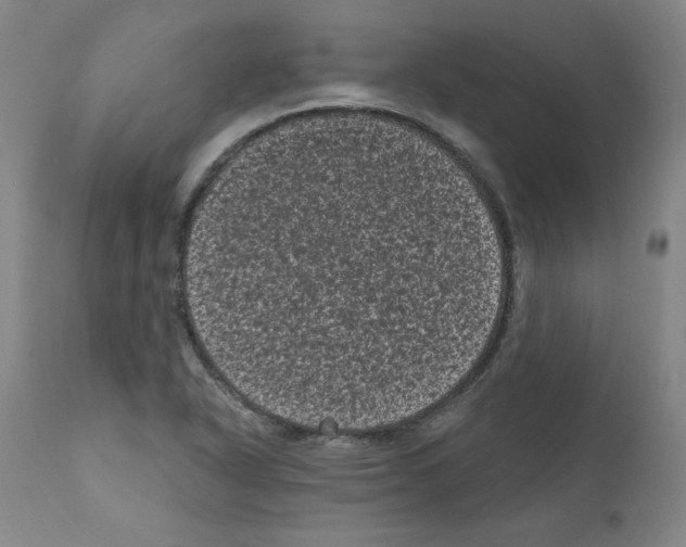 X0000110941318200907311007