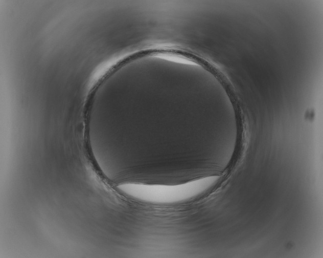 X0000110941319200907311007