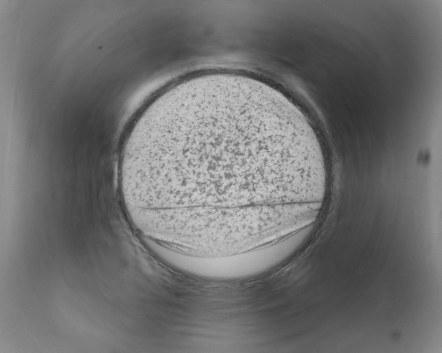 X0000110941320200907311007