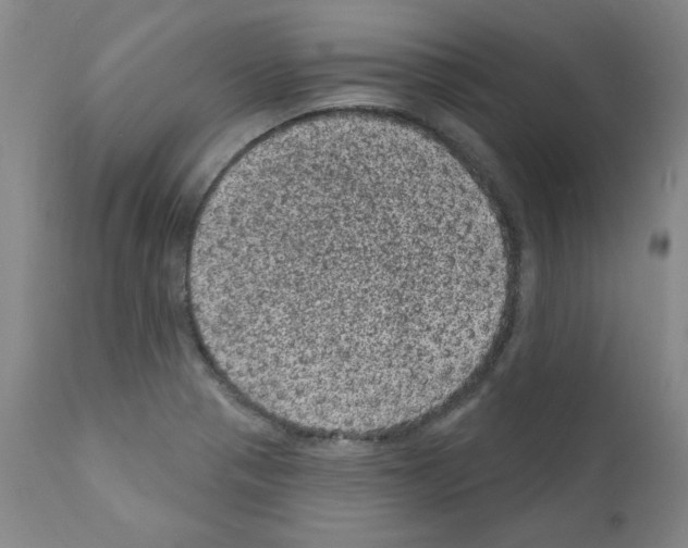 X0000110941321200907311007