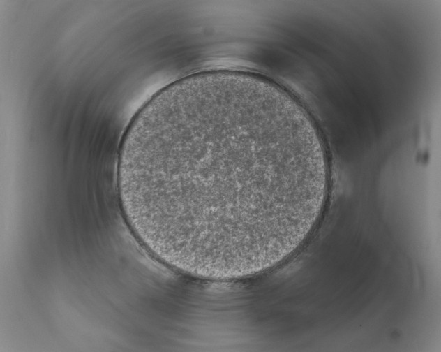 X0000110941322200907311007