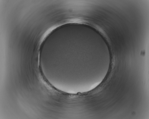X0000110941323200907311007