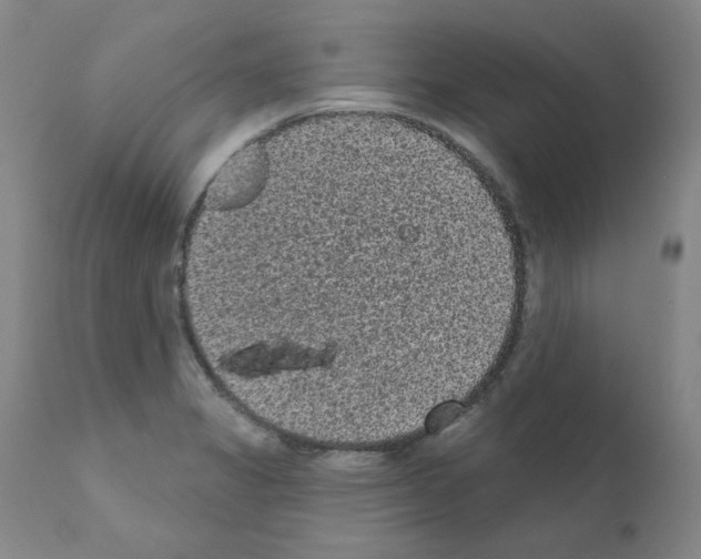 X0000110941325200907311007
