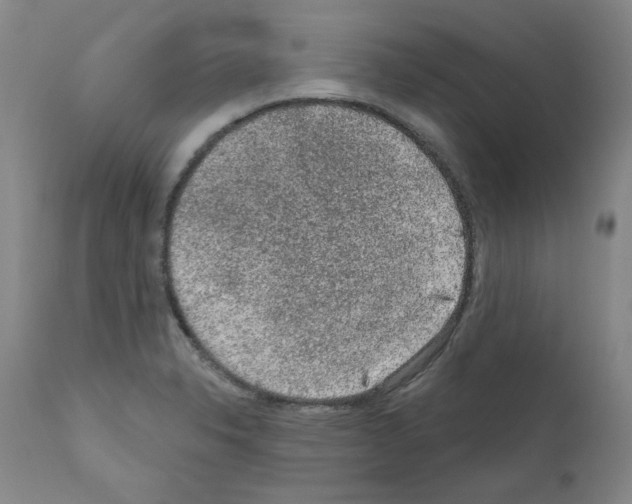 X0000110941326200907311007