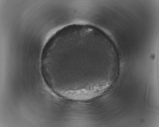 X0000110941327200907311007