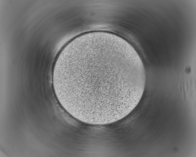 X0000110941328200907311007