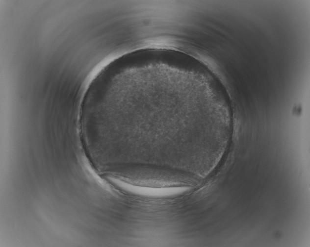 X0000110941331200907311008