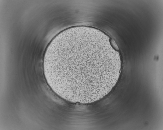 X0000110941332200907311008