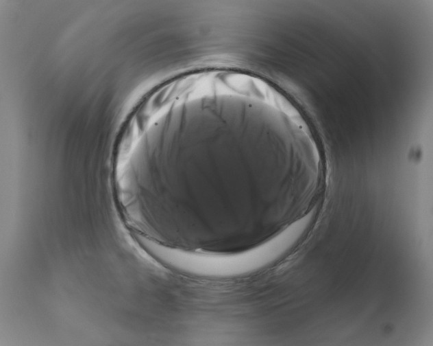 X0000110941334200907311008