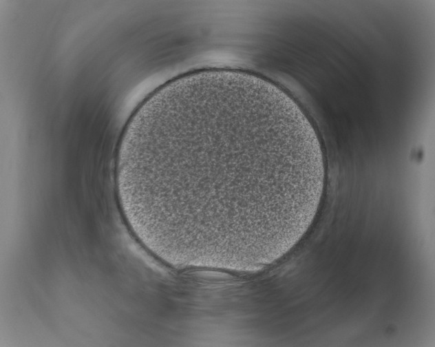 X0000110941335200907311008