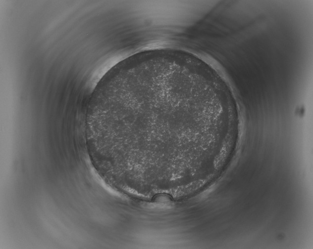 X0000110941337200907311008
