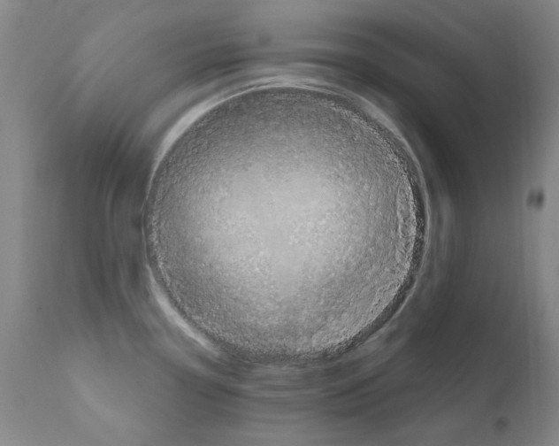 X0000110941338200907311008