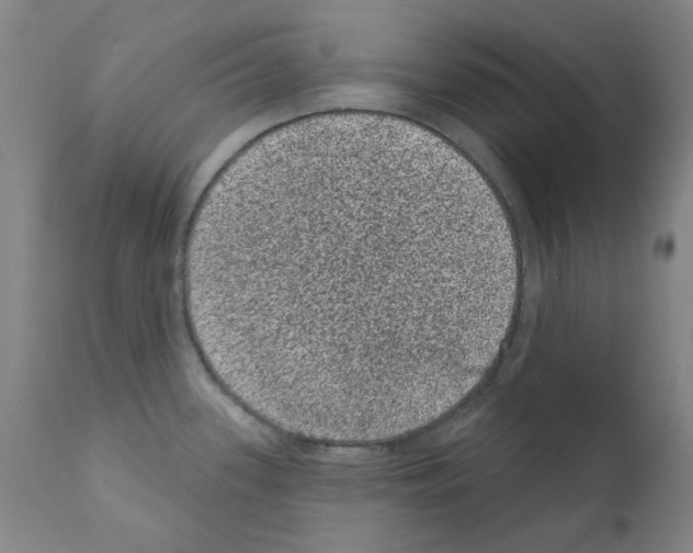 X0000110941339200907311008