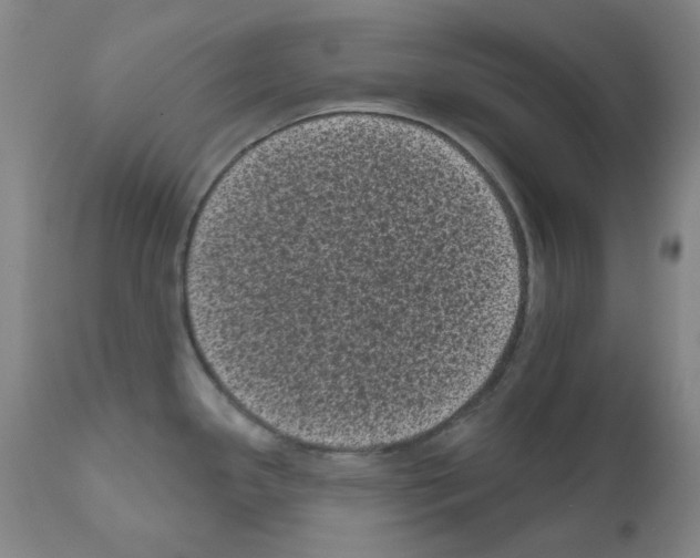 X0000110941341200907311008