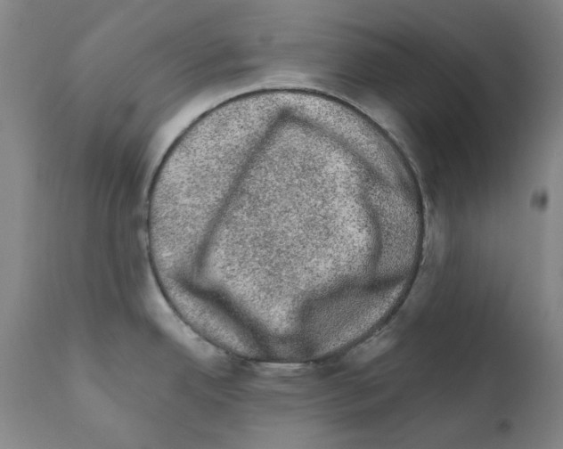 X0000110941342200907311008