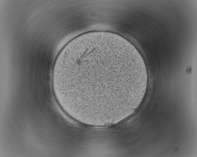 X0000110941343200907311008