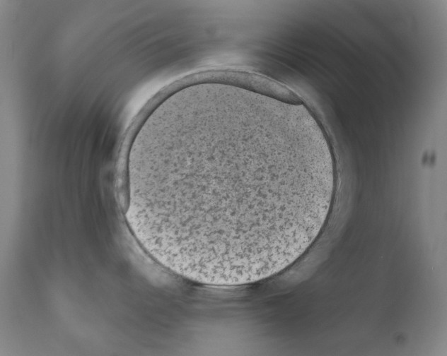 X0000110941344200907311008