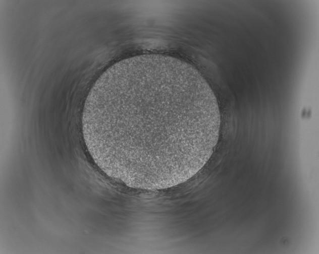 X0000110941345200907311007