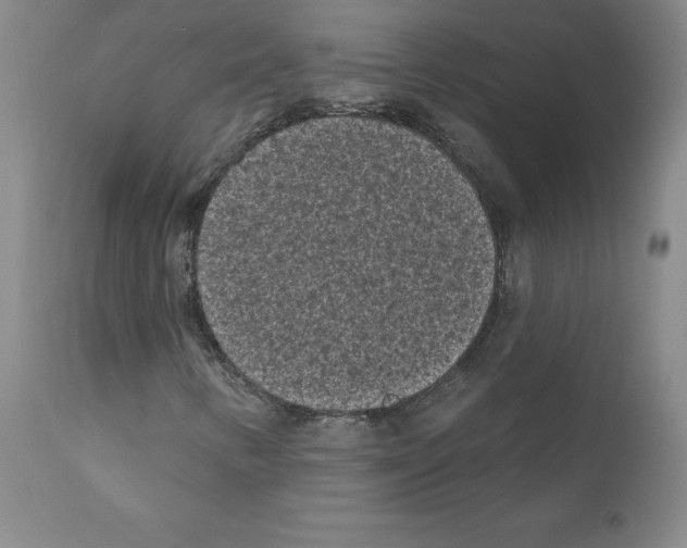 X0000110941346200907311007