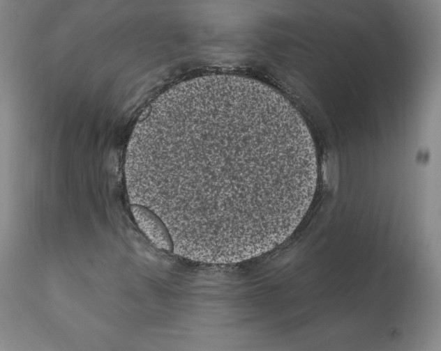 X0000110941347200907311007