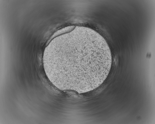 X0000110941348200907311007