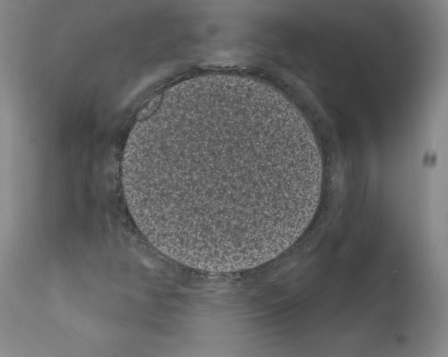 X0000110941350200907311007