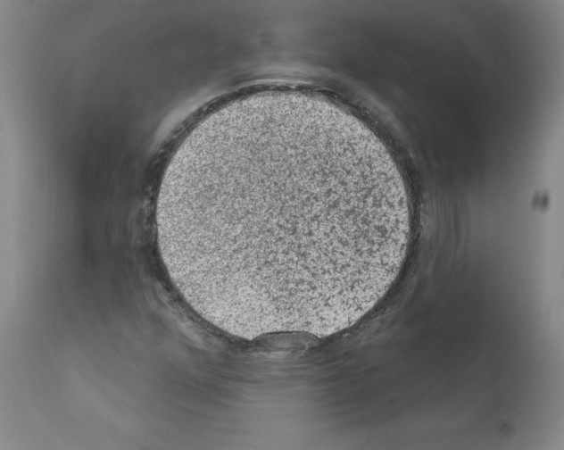X0000110941352200907311007