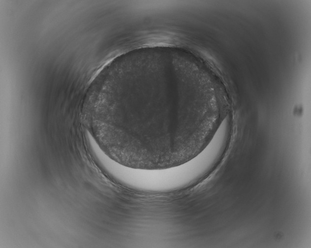 X0000110941353200907311007