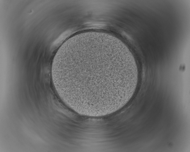 X0000110941354200907311007
