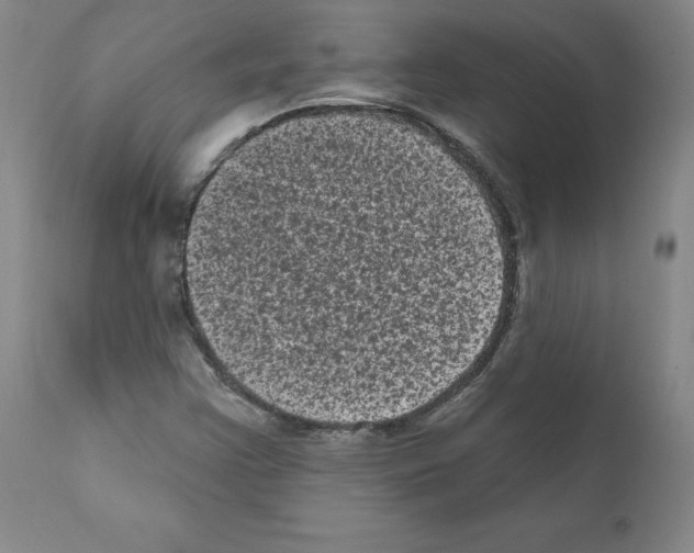X0000110941355200907311007