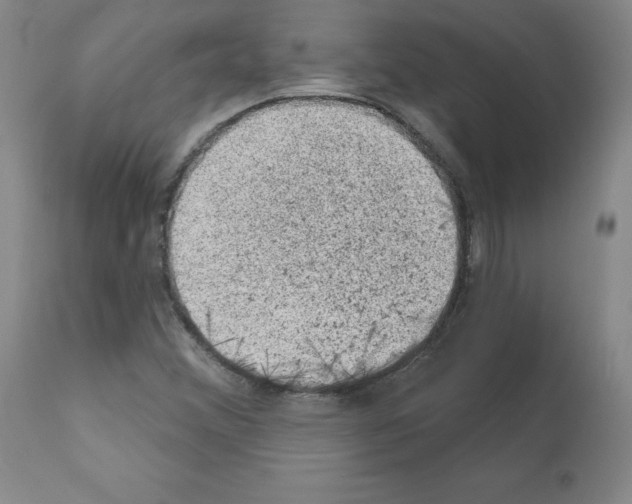 X0000110941356200907311007
