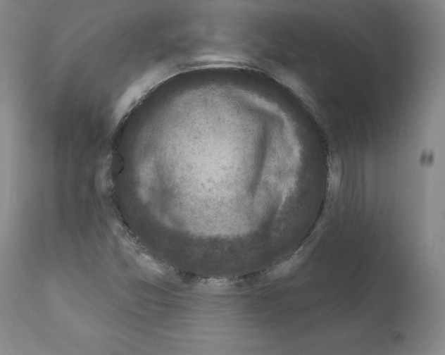 X0000110941357200907311007