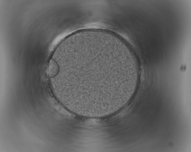 X0000110941358200907311007