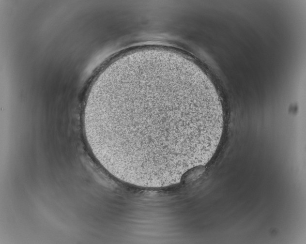 X0000110941360200907311007