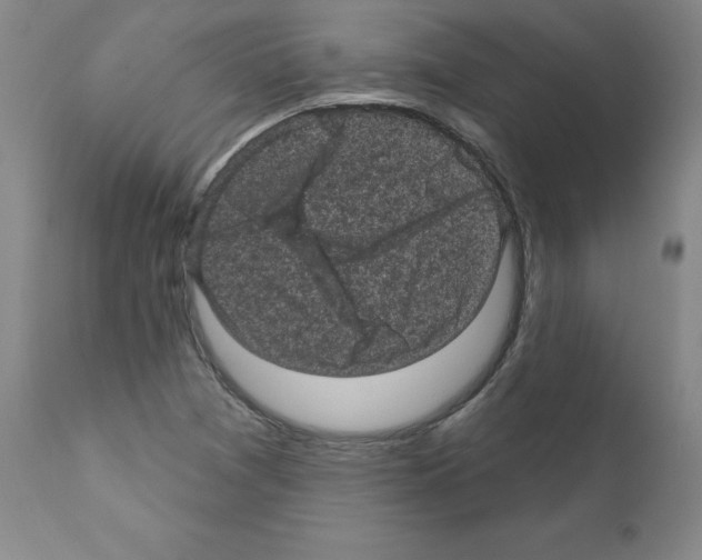 X0000110941361200907311007
