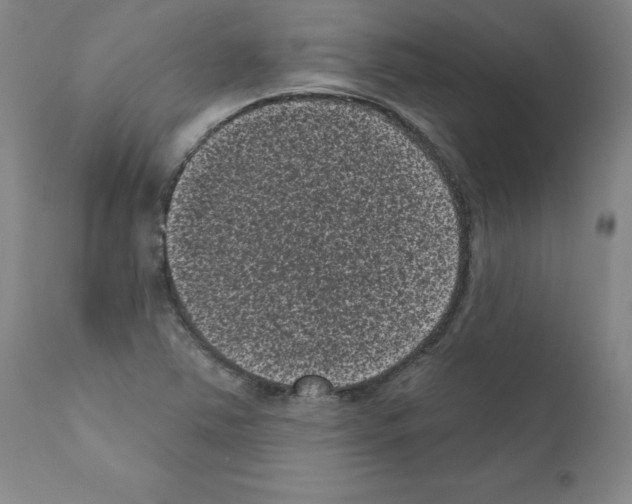 X0000110941363200907311007