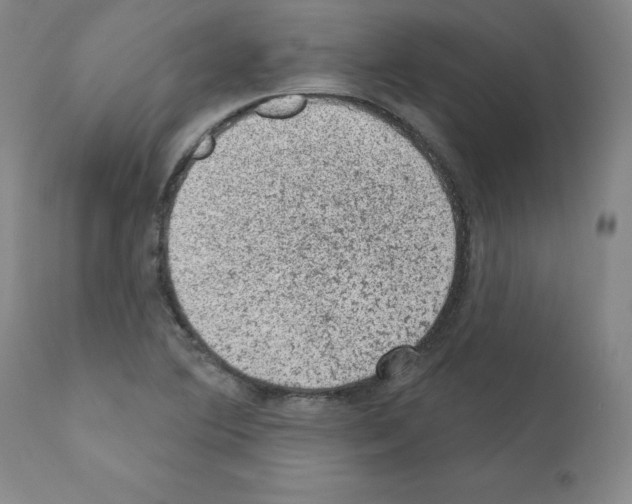 X0000110941364200907311007