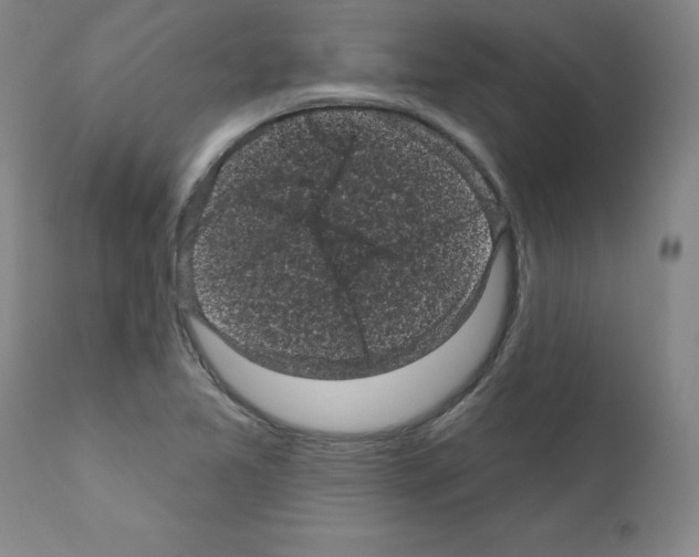 X0000110941365200907311007