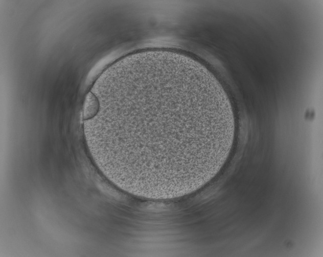 X0000110941366200907311007