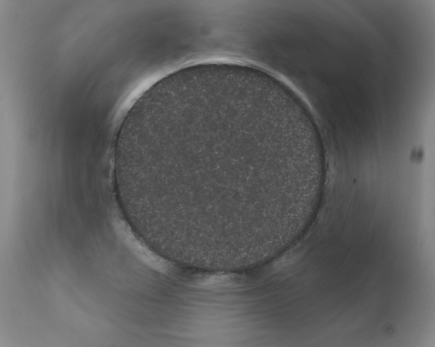 X0000110941367200907311007
