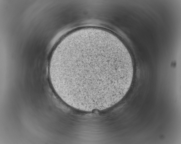 X0000110941368200907311007
