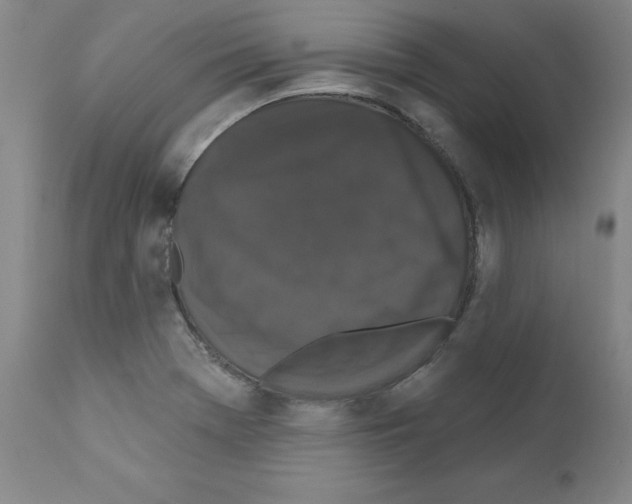 X0000110941369200907311007