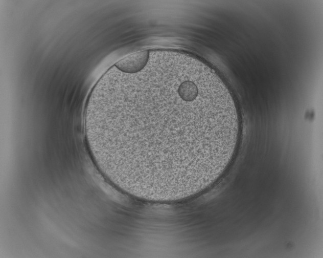 X0000110941370200907311007