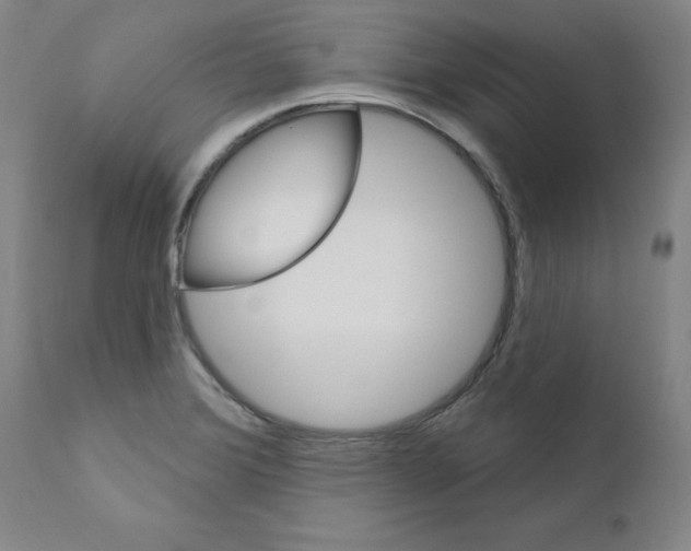 X0000110941372200907311007