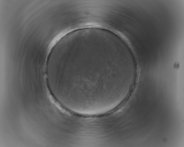 X0000110941373200907311007