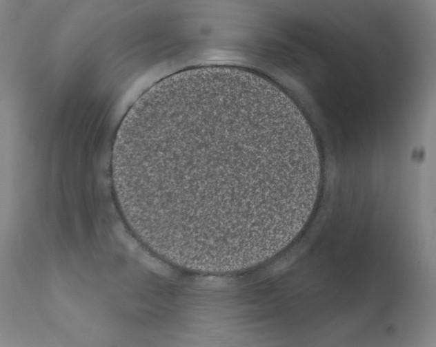 X0000110941374200907311007