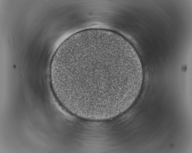 X0000110941375200907311007