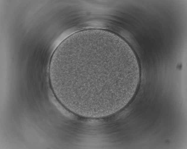 X0000110941378200907311007
